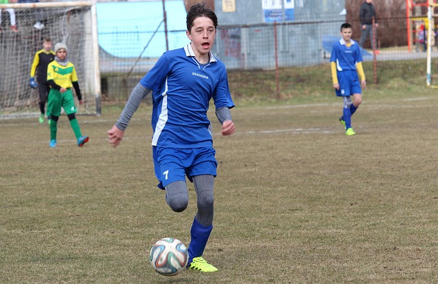 的視野下 的視野下